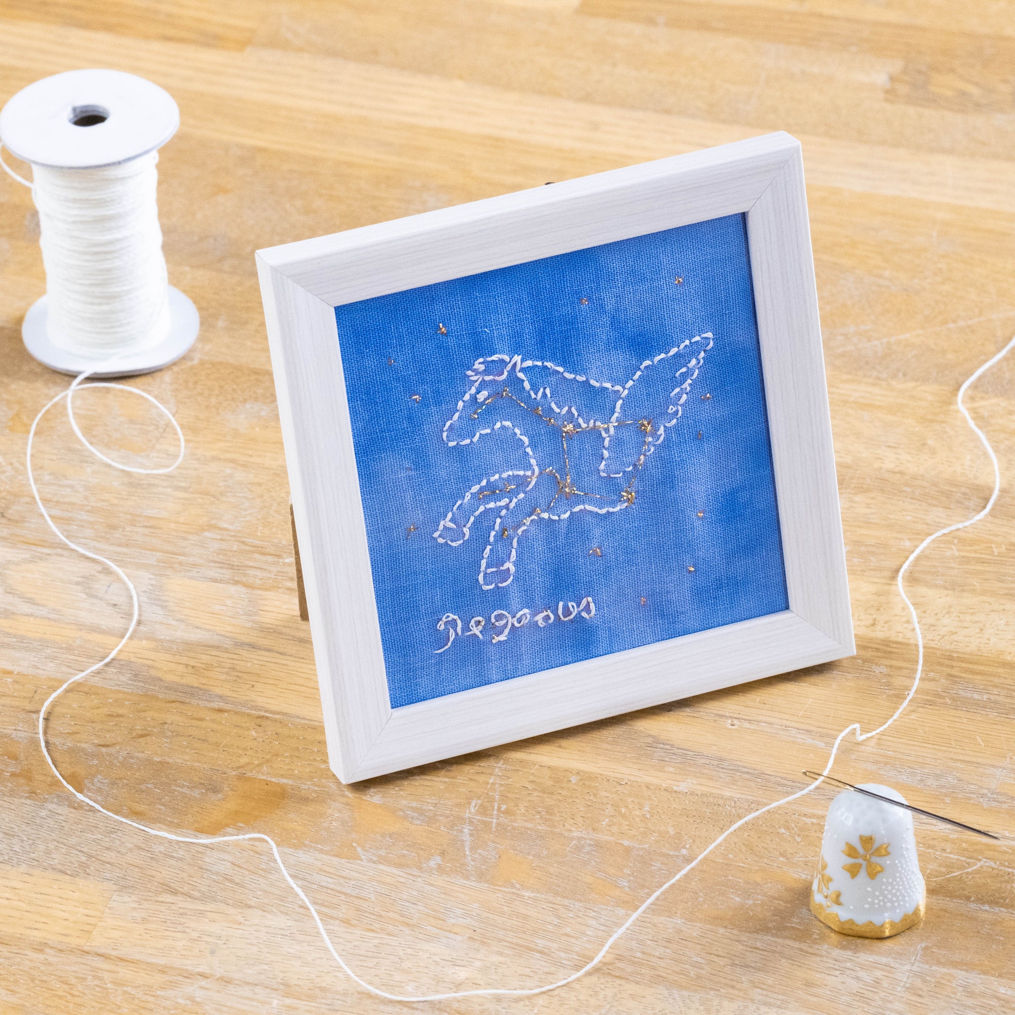 宙の刺繍キット   🌌ペガスス座