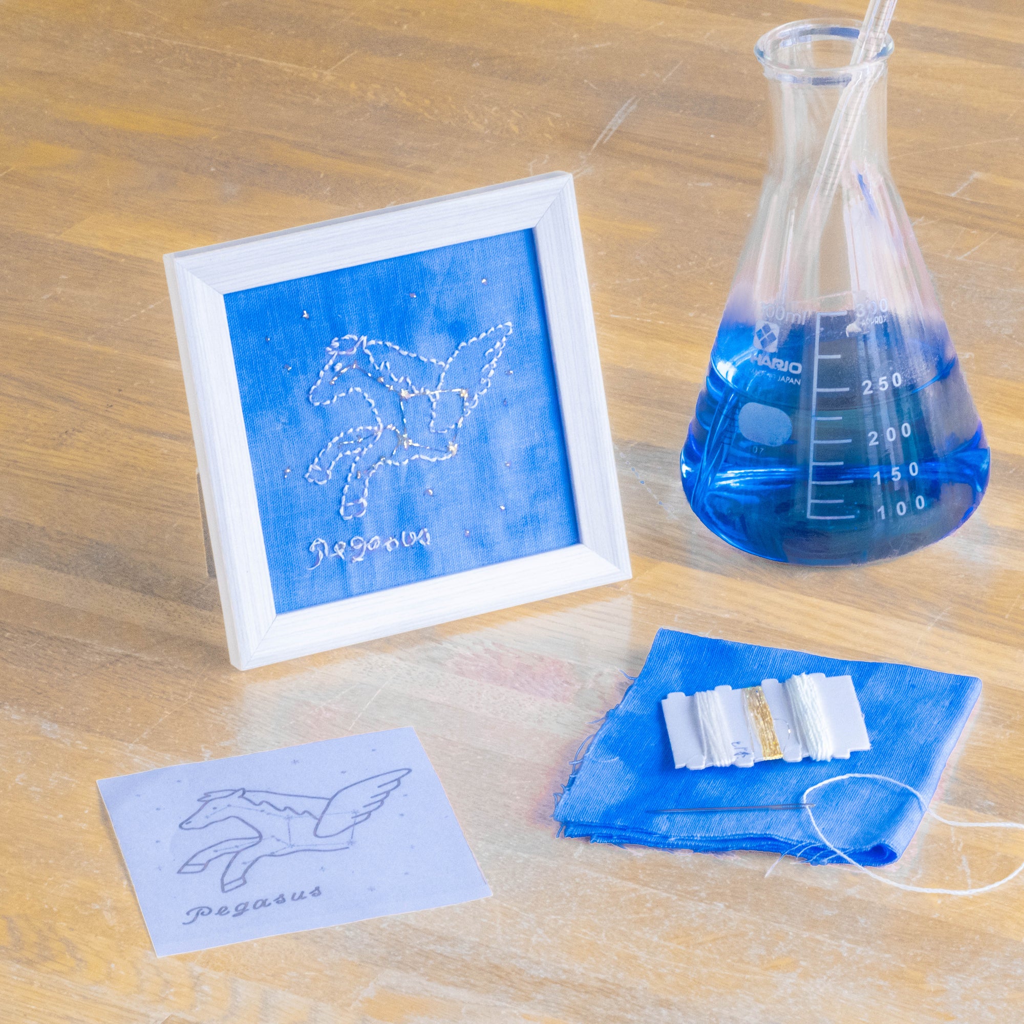 宙の刺繍キット   🌌ペガスス座