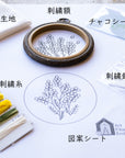 mimosa kit